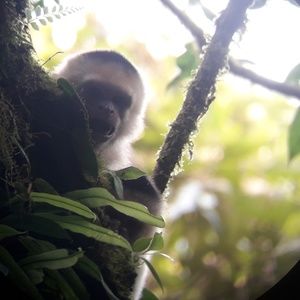 Meet your Posher, Regina